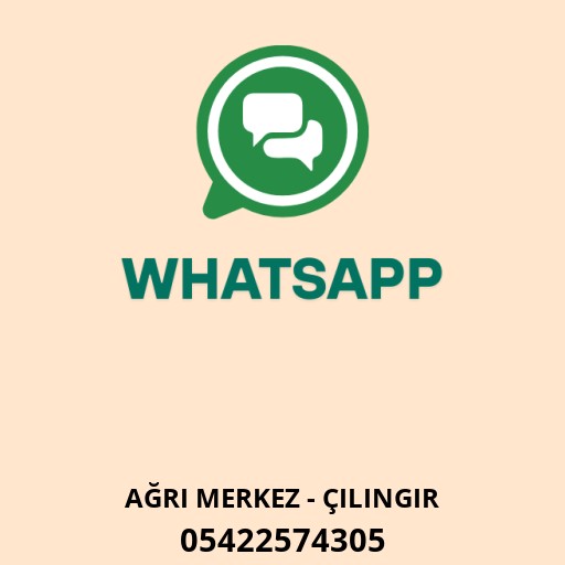 WhatsApp ile iletişim