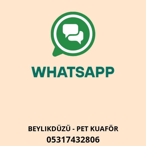 WhatsApp ile iletişim