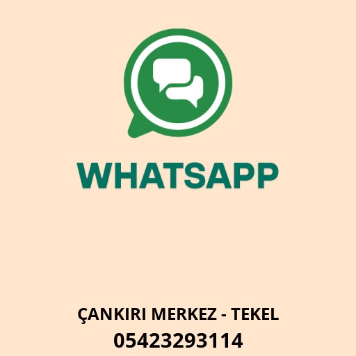 WhatsApp ile iletişim