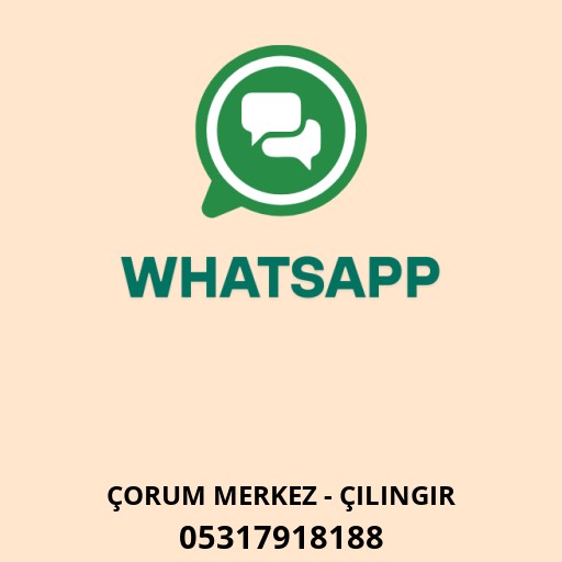 WhatsApp ile iletişim