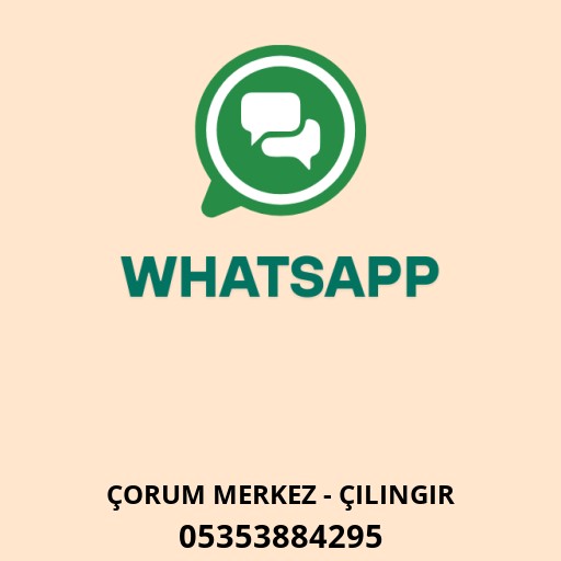 WhatsApp ile iletişim