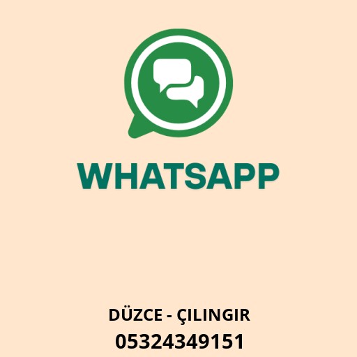 WhatsApp ile iletişim