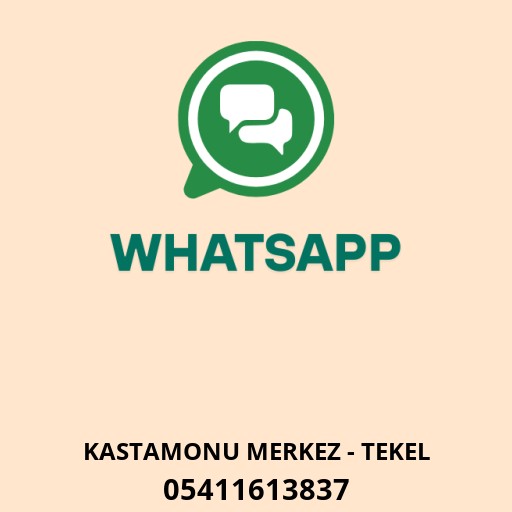 WhatsApp ile iletişim