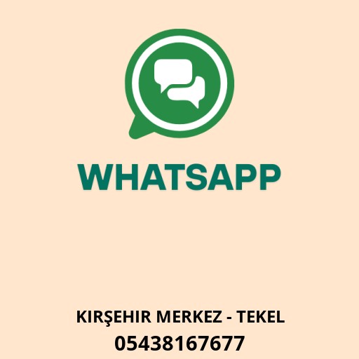 WhatsApp ile iletişim
