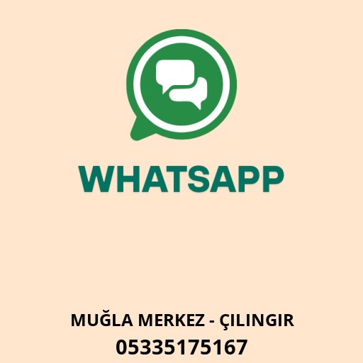 WhatsApp ile iletişim