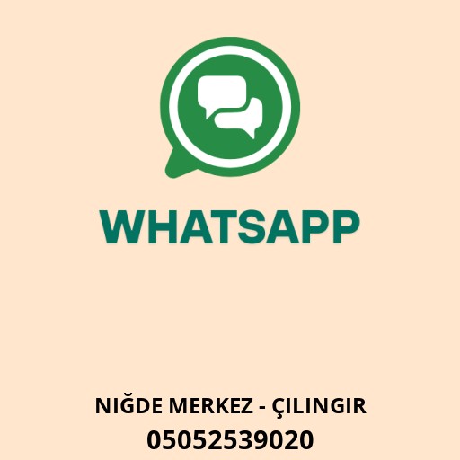 WhatsApp ile iletişim