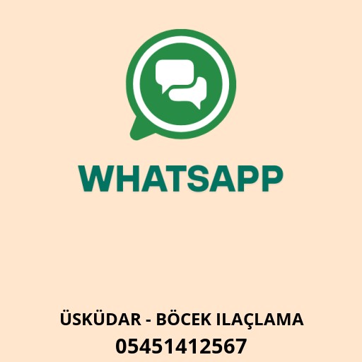 WhatsApp ile iletişim