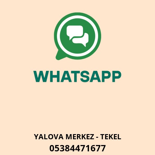 WhatsApp ile iletişim